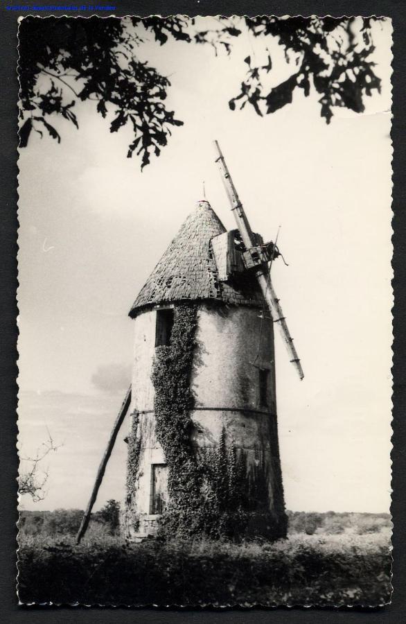 Moulin A Vent Le Champ Du Trail Villa Saint-Cyr-des-Gats Eksteriør bilde